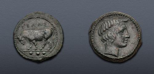 Lot 12 image