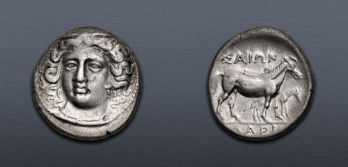 Lot 62 image