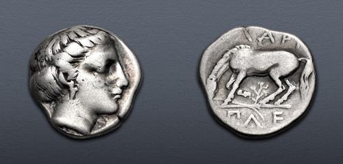Lot 64 image