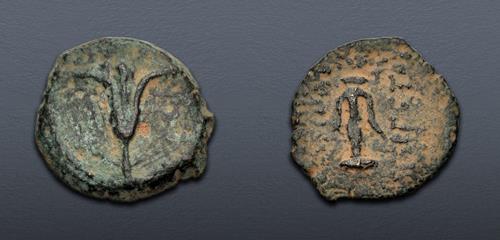 Lot 233 image