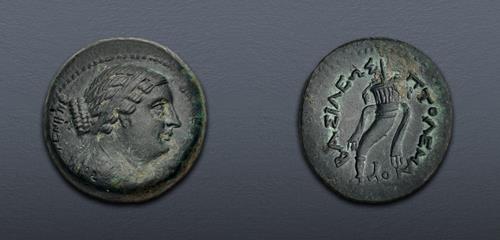 Lot 254 image
