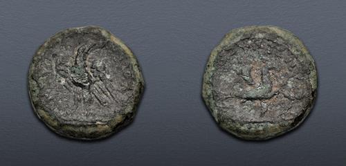 Lot 357 image