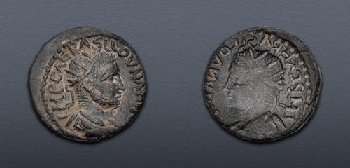 Lot 367 image