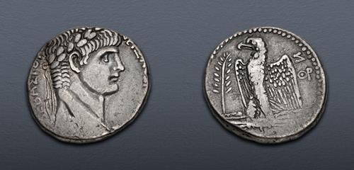 Lot 384 image