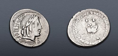 Lot 419 image