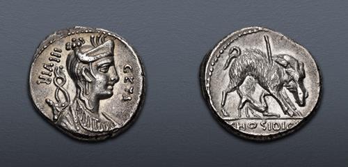 Lot 421 image