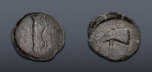 Lot 482 image
