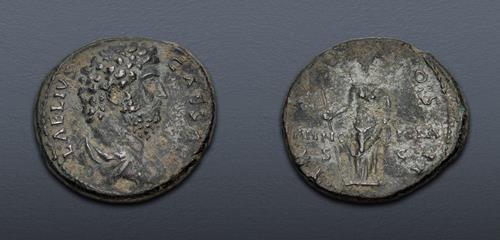 Lot 501 image