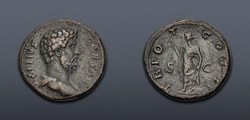 Lot 502 image