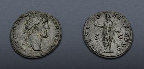 Lot 503 image
