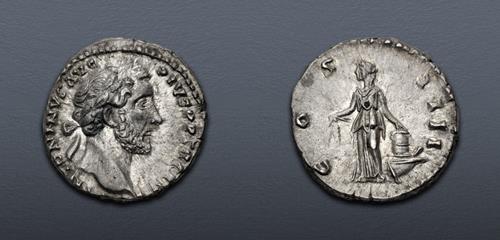 Lot 505 image