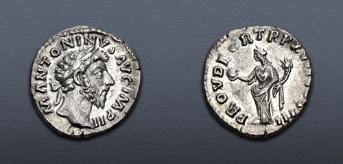 Lot 507 image