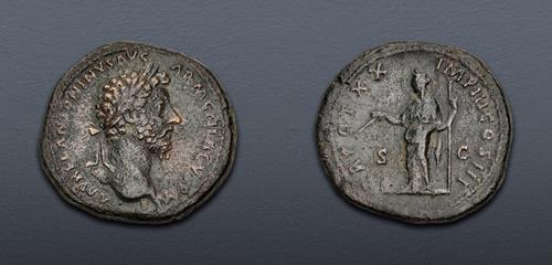 Lot 509 image