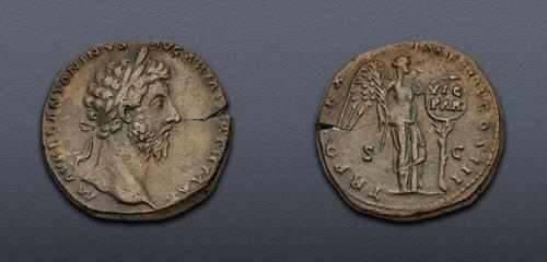 Lot 510 image