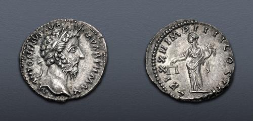 Lot 511 image