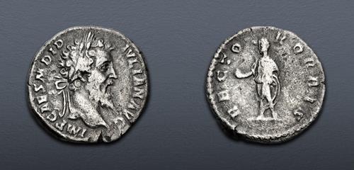 Lot 519 image