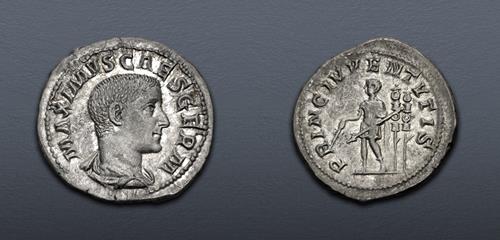 Lot 557 image