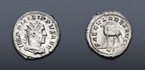 Lot 572 image