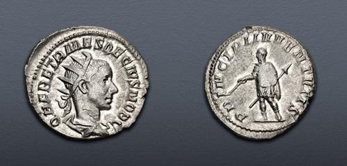 Lot 584 image