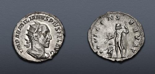 Lot 591 image