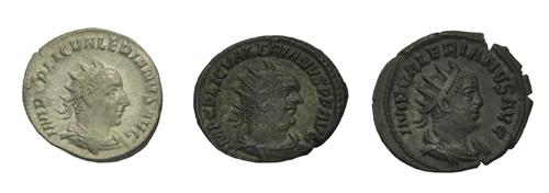Lot 592 image