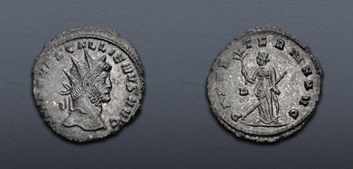 Lot 594 image