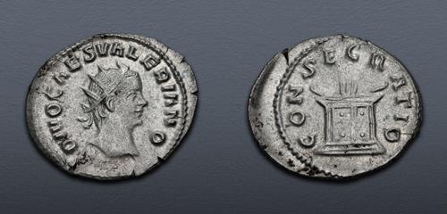 Lot 596 image