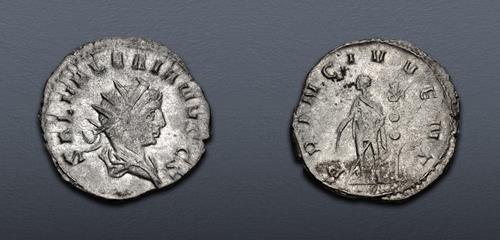 Lot 597 image
