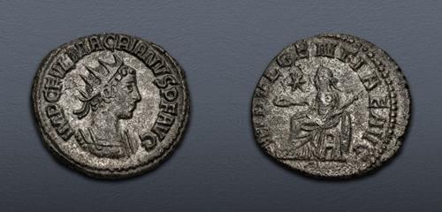 Lot 598 image