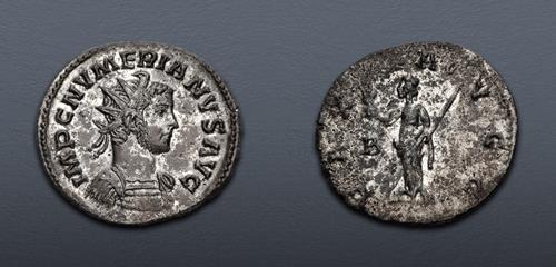 Lot 634 image