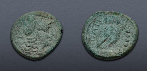 Lot 7 image