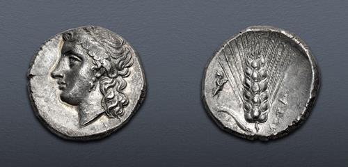 Lot 8 image