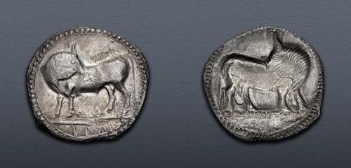 Lot 10 image