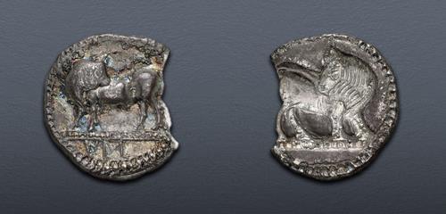 Lot 11 image