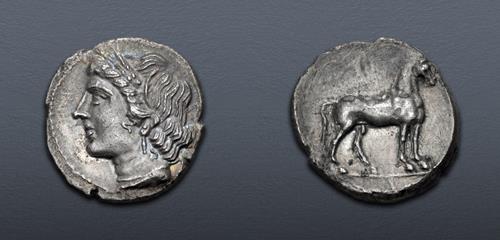 Lot 14 image