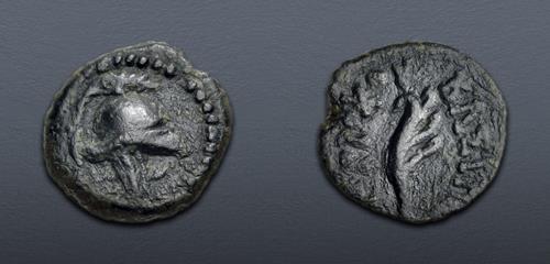 Lot 126 image