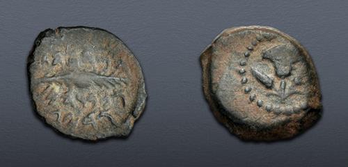 Lot 135 image