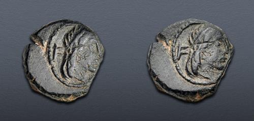 Lot 142 image