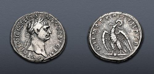 Lot 256 image