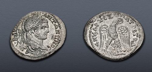 Lot 258 image