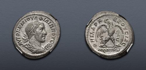 Lot 261 image