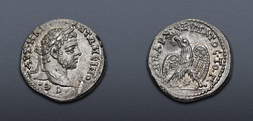Lot 264 image