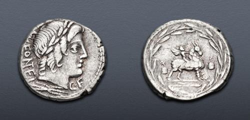 Lot 313 image