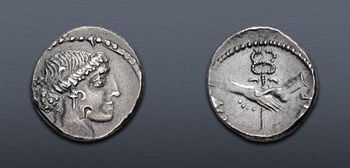 Lot 339 image