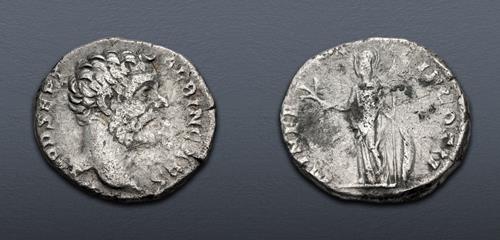 Lot 501 image