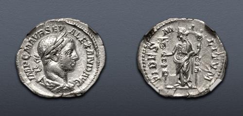 Lot 502 image