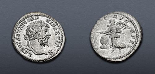 Lot 503 image
