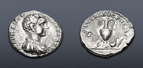 Lot 509 image