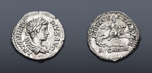 Lot 511 image