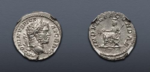 Lot 513 image